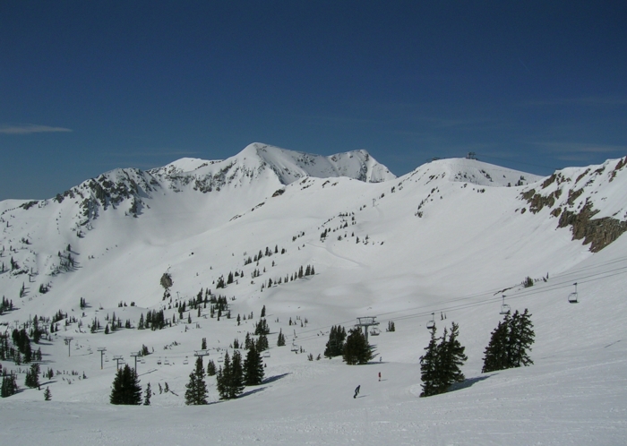 Snowbird's massive Mineral Basin, on the resort's southern side -- acres of mostly gentle intermediate and expert skiing.  View is by ridge-top link with Alta (behind photographer).