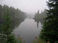 Quiet view, on the Route to Mont Laurier.