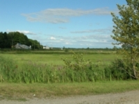 Sky and cornfield, on the Route Verte Chemin du Roi, west of Quebec City.