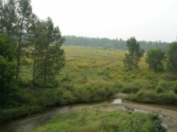 Creek bend, on Route Verte between Danville and Quebec City.