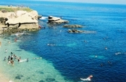 Snorkelers, La Jolla Cove.