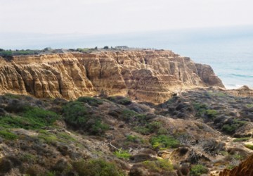 Torrey Pines State Reserve.