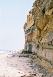 Torry Pines State Reserve beach (looking north).